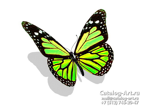  Butterflies 83